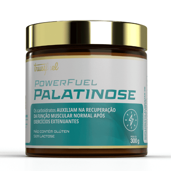 POWERFUEL PALATINOSE - 300G